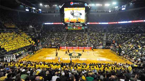 Matthew Knight Arena