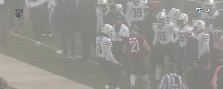 Borghi punches in his second TD for Washington State