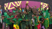 Samenvatting Senegal - Egypte