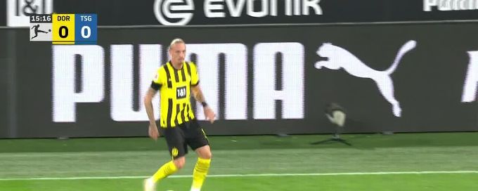 Marco Reus goal 16th minute Borussia Dortmund 1-0 TSG Hoffenheim