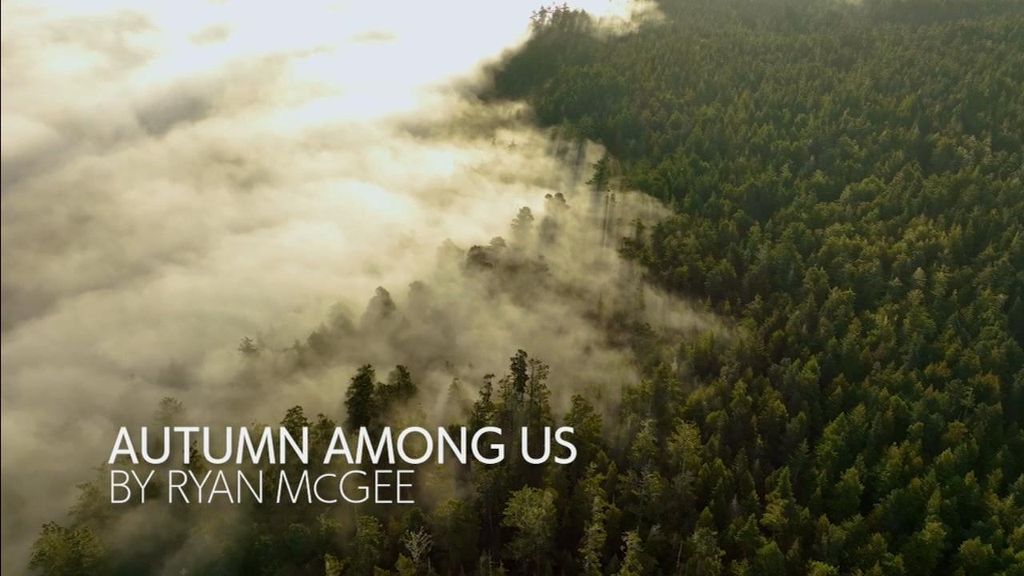 McGee Essay: Autumn among us, what's to come