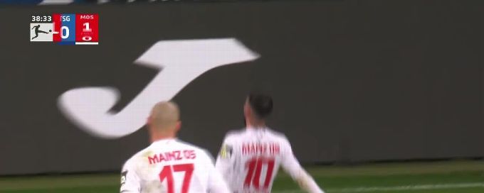 Hoffenheim and Mainz battle to 1-1 draw