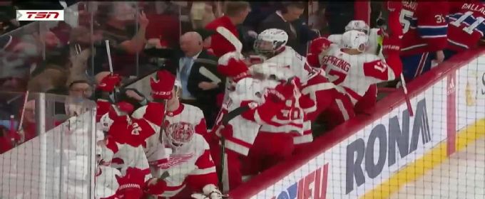 David Perron nets goal for Red Wings