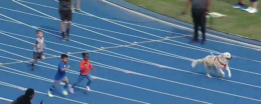 Kids race dog on the Bahamas Bowl track