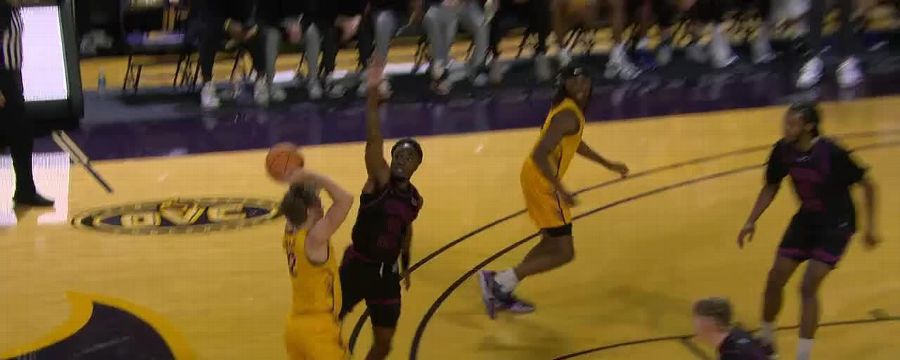 Tennessee State Tigers vs. Tennessee Tech Golden Eagles: Game Highlights