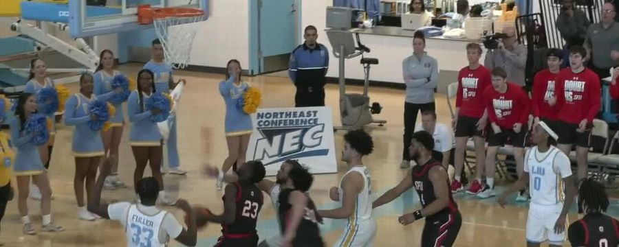 St. Francis (PA) Red Flash vs. Long Island University Sharks: Game Highlights