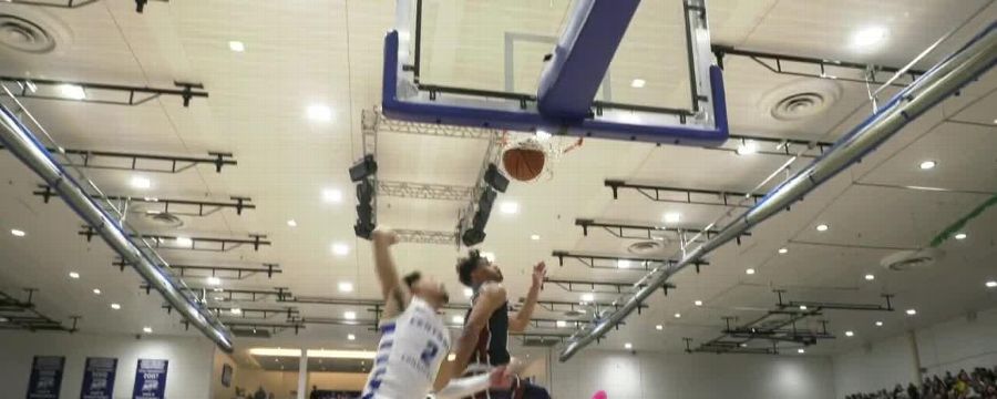 Fairleigh Dickinson Knights vs. Central Connecticut Blue Devils: Game Highlights