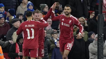 Three-goal Liverpool cruise to FA Cup win against Brighton