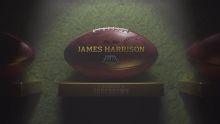 James Harrison's 'I scored a touchdown' story: SB XLIII
