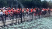The Netherlands fans turn Houston into a sea of orange
