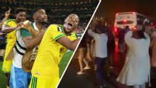 South Africa fans celebrate into the morning after historic win