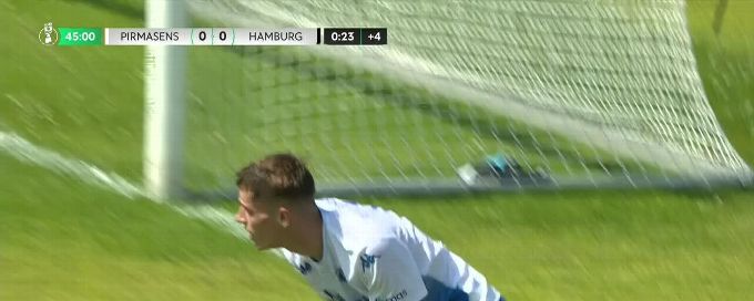 Hamburg survives scare to advance in German Cup