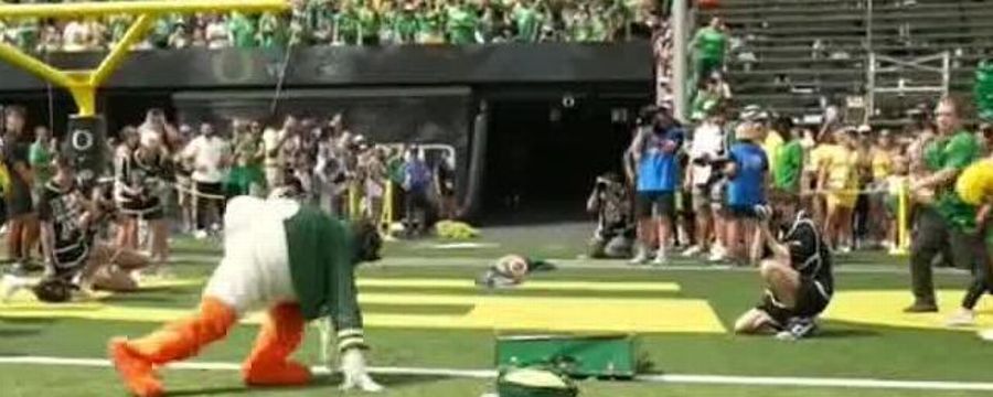 Oregon Duck loses its head!