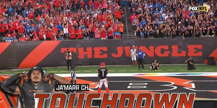 Detroit Detroit Lions vs. Cincinnati Bengals Game Highlights