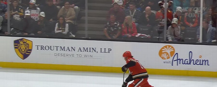Pittsburgh Penguins vs. Anaheim Ducks: Game Highlights