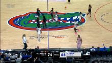 Texas A&M Aggies vs. Florida Gators: Game Highlights