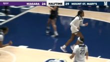 Niagara Purple Eagles vs. Mount St. Mary's Mountaineers: Game Highlights