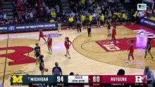 Michigan Wolverines vs. Rutgers Scarlet Knights: Game Highlights
