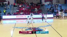 Maryland-Eastern Shore Lady Hawks vs. Delaware State Lady Hornets: Game Highlights