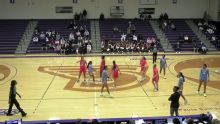 Long Island University Sharks vs. Stonehill Skyhawks: Game Highlights