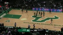 Tulane Green Wave vs. South Florida Bulls: Game Highlights
