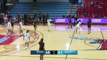 Howard Bison vs. Delaware State Lady Hornets: Game Highlights