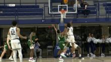 Nelson's 24 lead South Florida over Rice 75-56
