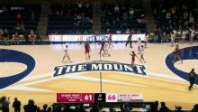 Sacred Heart Pioneers vs. Mount St. Mary's Mountaineers: Game Highlights