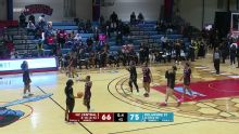 North Carolina Central Eagles vs. Delaware State Lady Hornets: Game Highlights