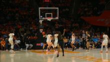 Vanderbilt Commodores vs. Tennessee Lady Volunteers: Game Highlights