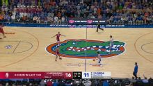 Arkansas Razorbacks vs. Florida Gators: Game Highlights