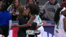 Indiana Fever vs. NIGERIA - Game Highlights