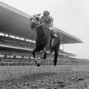 John Ruffian Remembering Ruffian 50 years after her breakdown at Belmont - ESPN