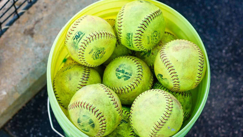SEC announces 2023 SEC Softball Community Service Team