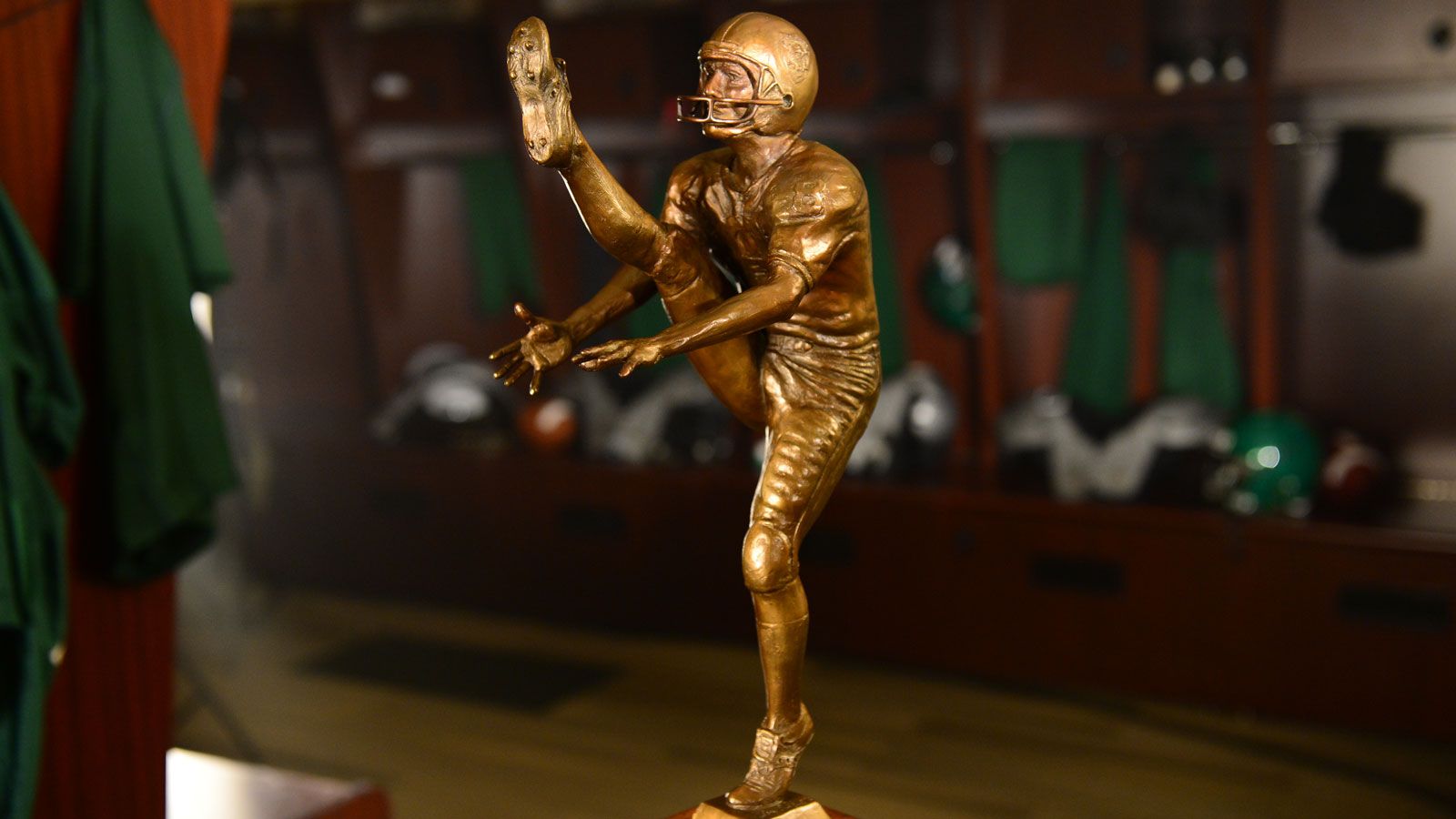 Ray Guy Award