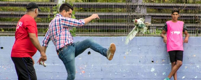 Uruguayan club Fenix handed sanction after chicken-kicking fiasco