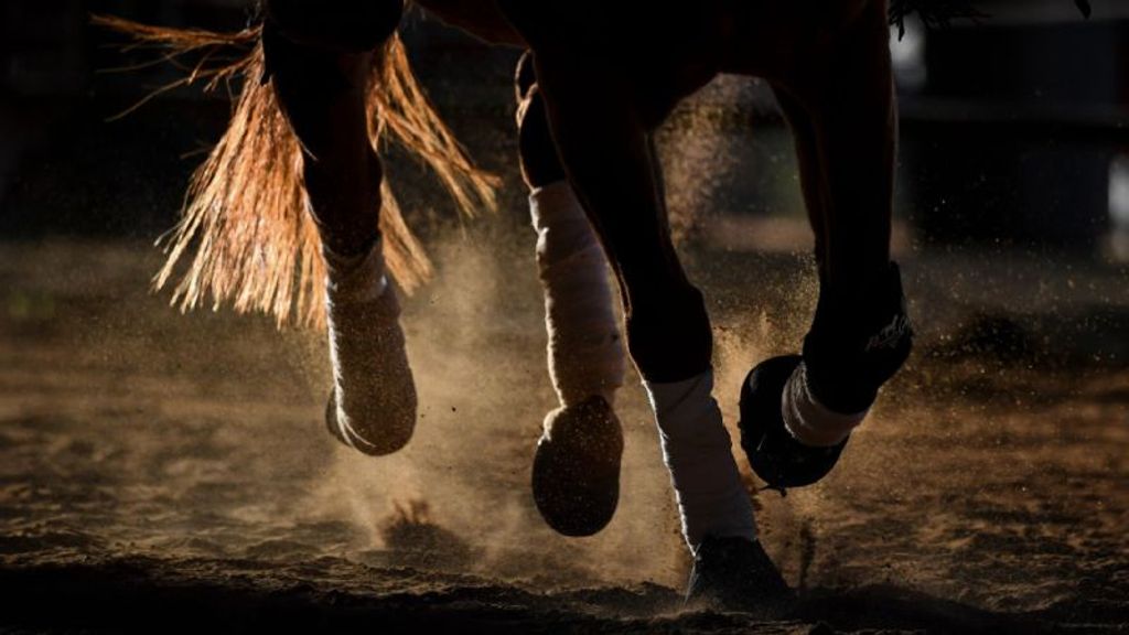 2021 SEC Fall Equestrian Schedules Announced