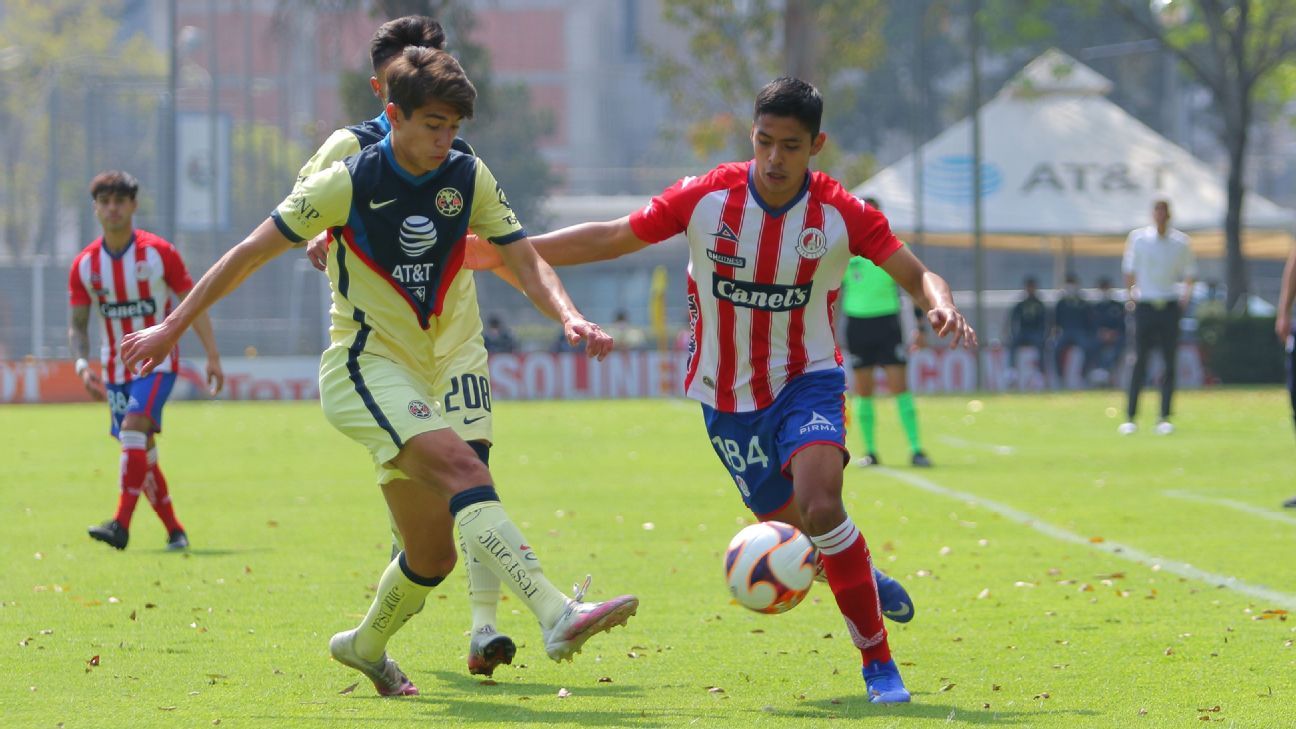 The Atlético de San Luis U-20 footballer died in a car accident