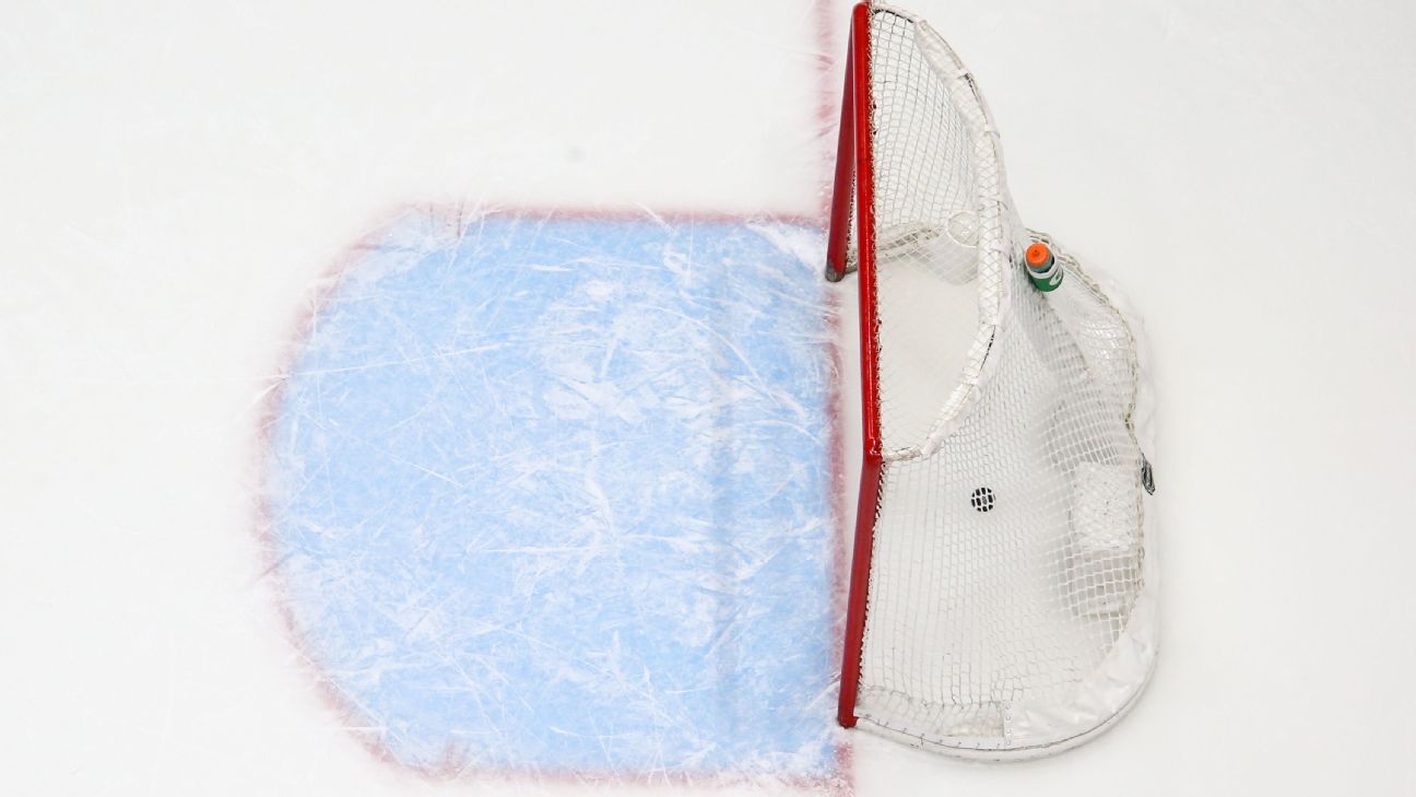 KHL akan menangguhkan musim selama seminggu karena wabah COVID-19