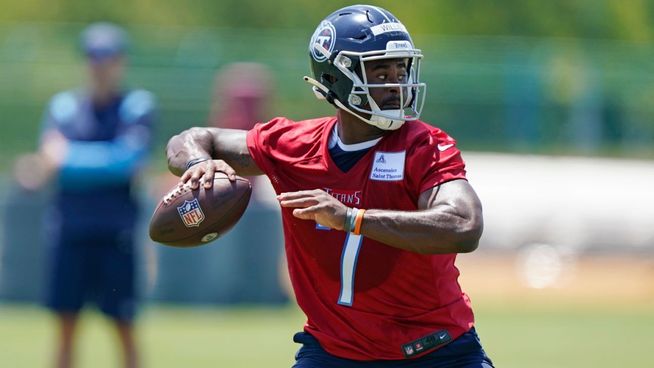 <div>Titans' Willis: No issue with Tannehill comments</div>