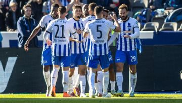 Hertha earn draw against Hoffenheim amid turmoil