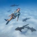 news-65-65 news-65-65