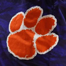 Clemson's Carter Welling done for season with torn ACL