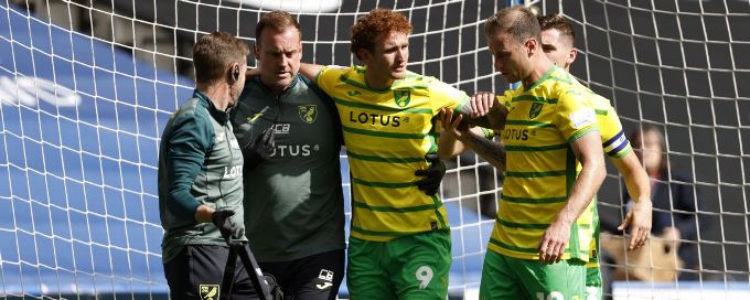 USA's Sargent suffers 'serious' injury while scoring for Norwich