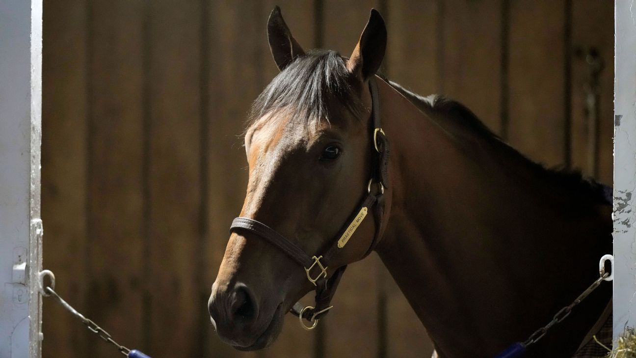 Horse dies, Belmont winner pulls out of Breeders'