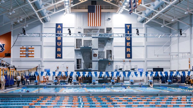 Diving opens SEC swimming & diving championships
