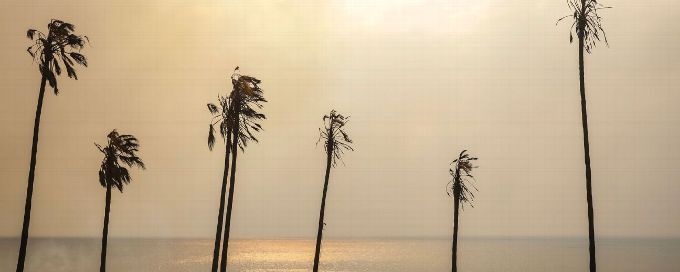 Pepperdine postpones women's basketball game due to wildfires