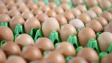 Man of the match usually gets champagne. This guy got eggs.