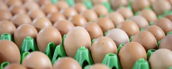 Man of the match usually gets champagne. This guy got eggs.