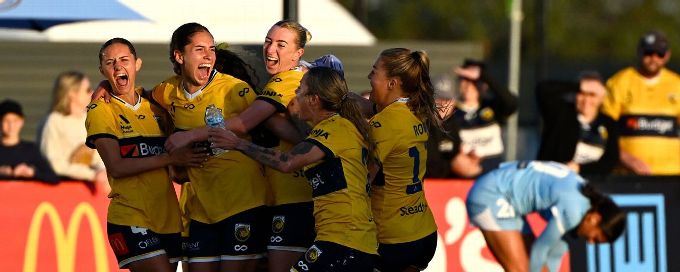 Offside goal ruins Melbourne City's invincible A-League season